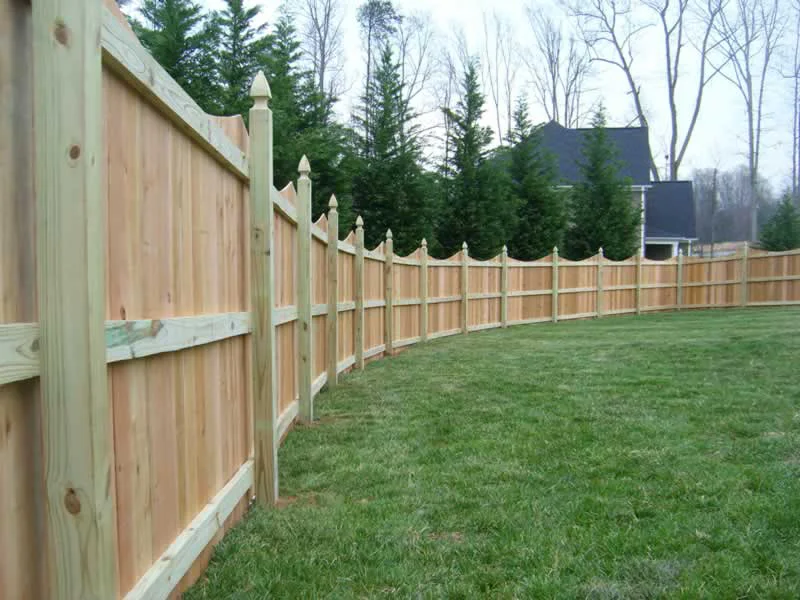 fence 2.jpg