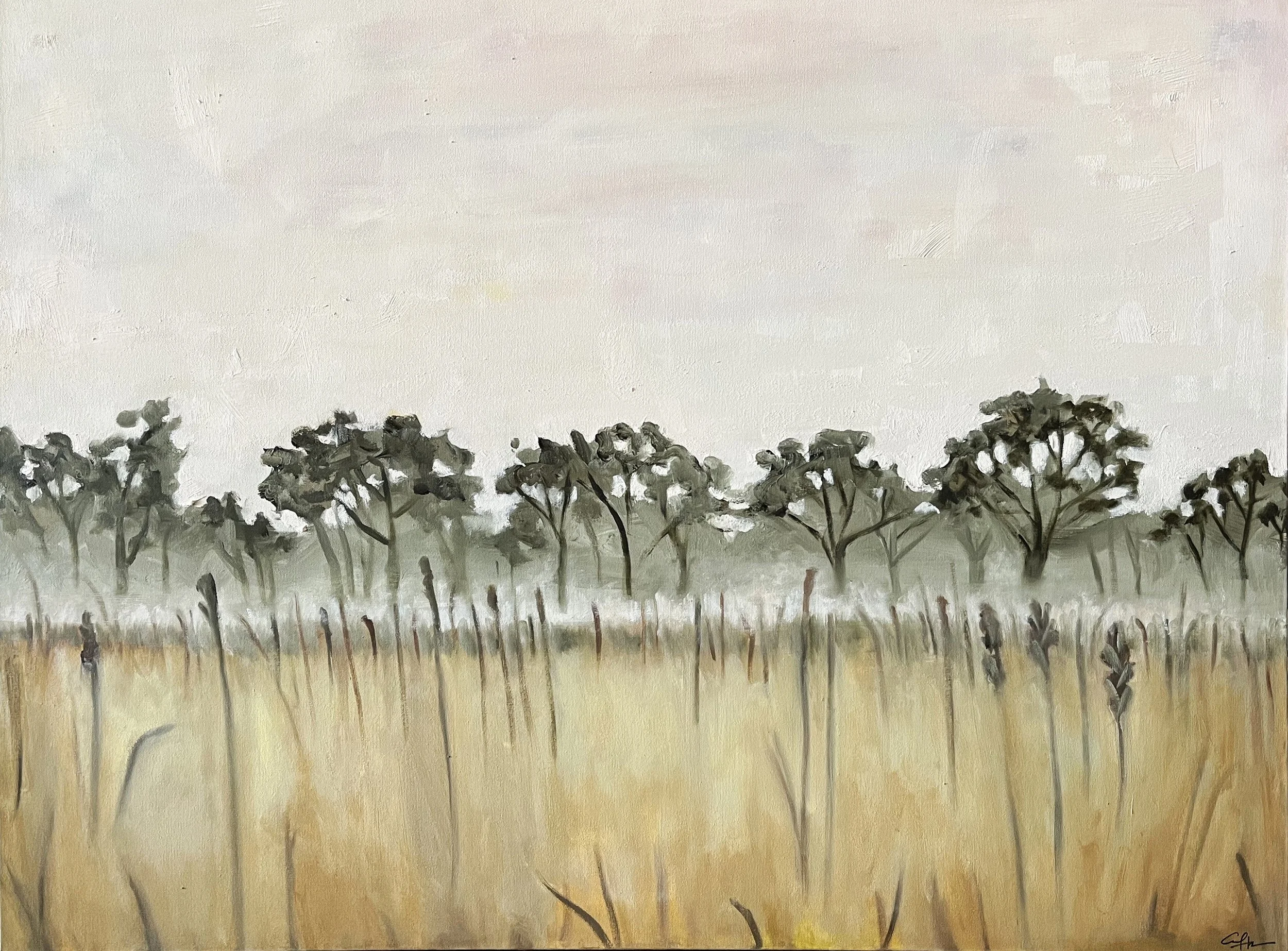 MuseNo1_front2 CROP.jpeg