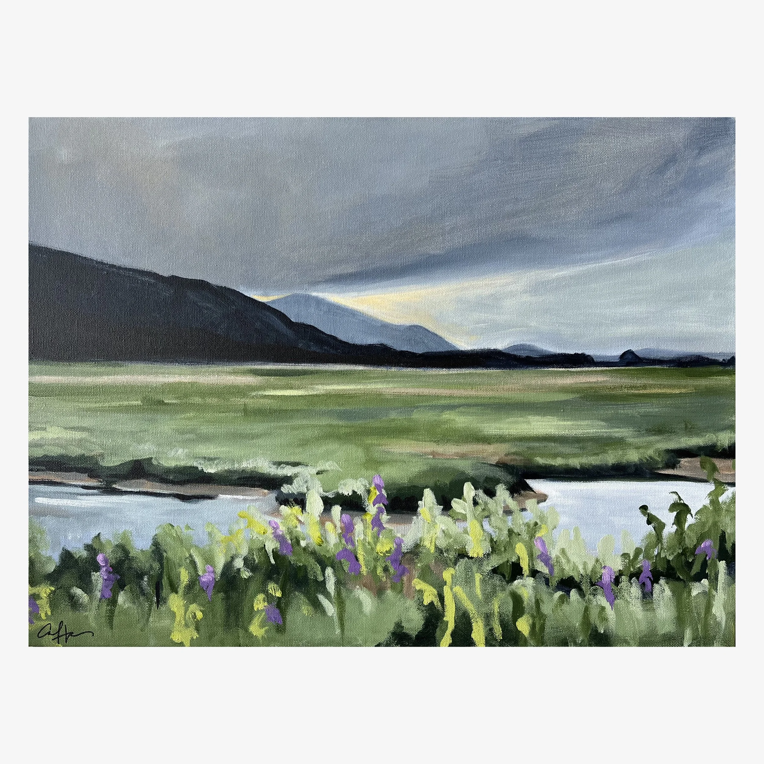 WetlandsNo1_White.jpg