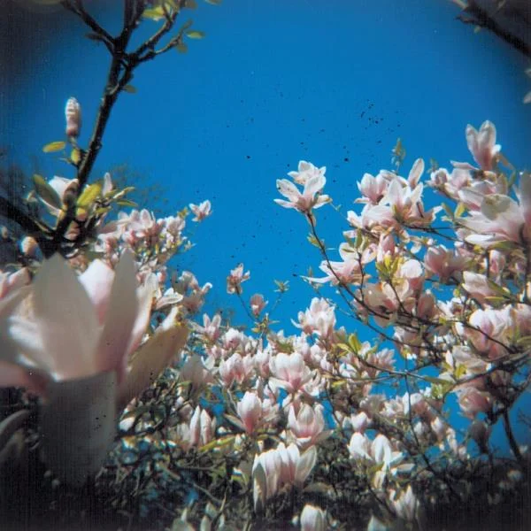 Holga74.jpg