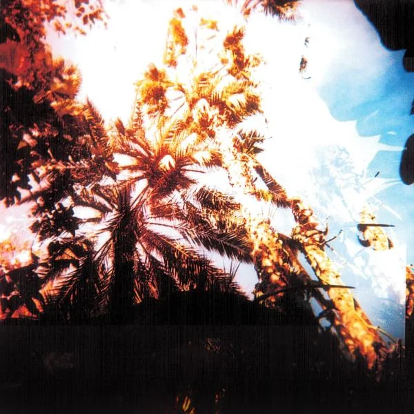 HOlga125.jpg