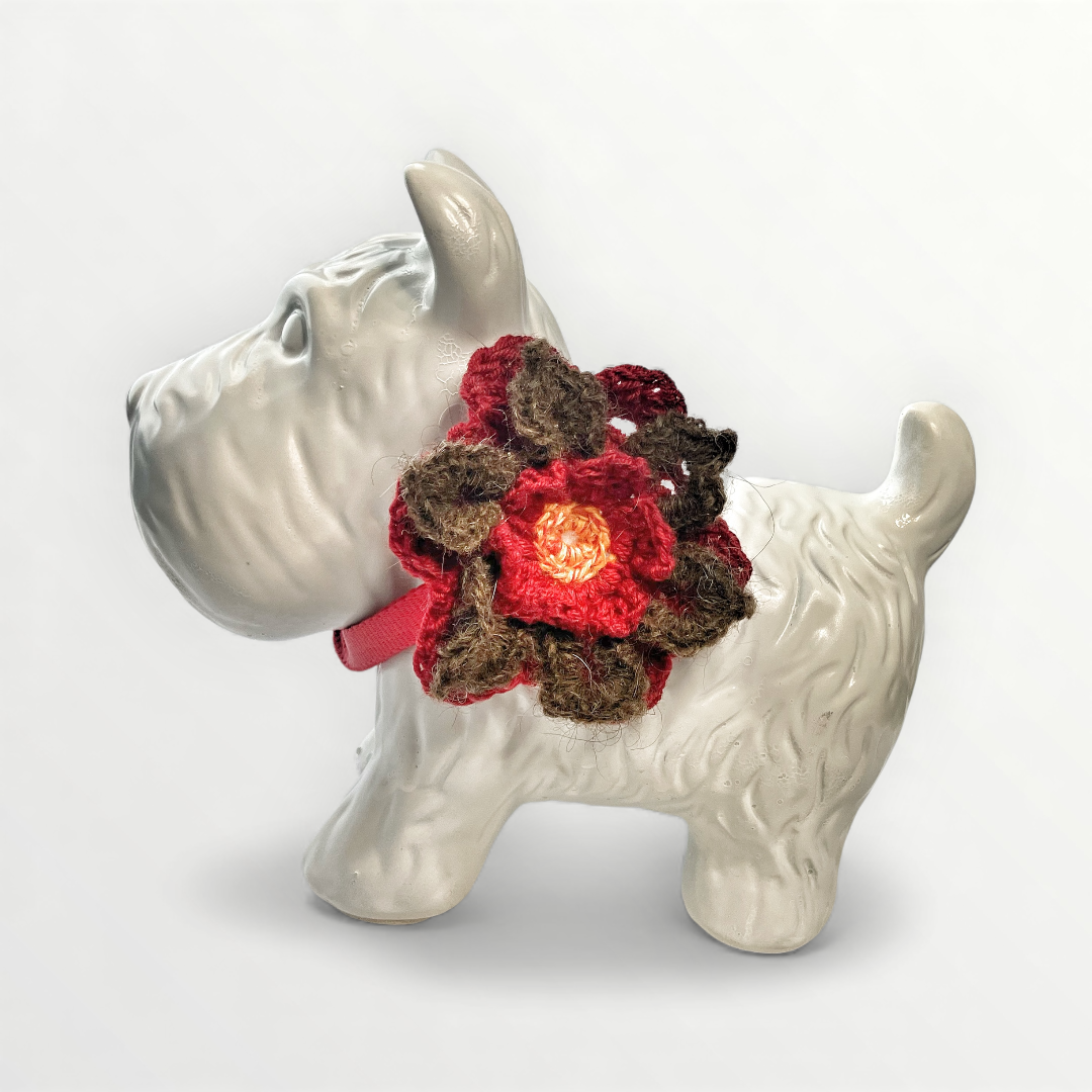 E6504884-000A-4C4D-BB79-4584FBCE6963.png