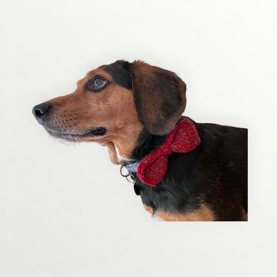 F4D74E95-2E95-4115-9307-ABC45268AE84.png