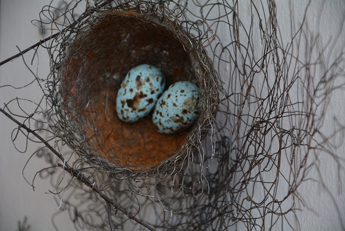 ben coutouvidis wire nest.jpg