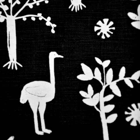 Ostrich.jpg