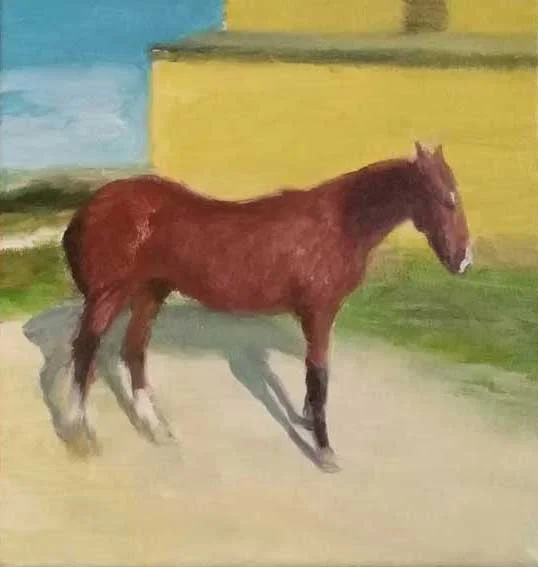 Horse III, Oil on Canvas, 20 x 20 cm