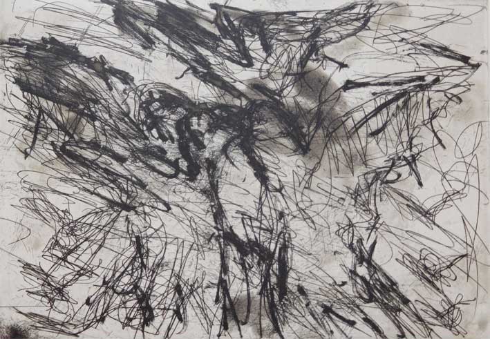 Landing I, 2 of 20, Etching, 28 x 31 cm, 2015
