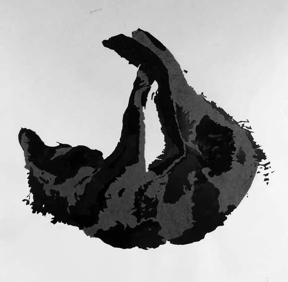 Untitled l, Ink and Pencil on Paper, 2015