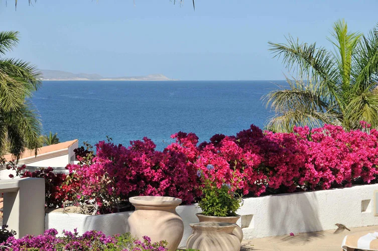 cabo042012007.jpg