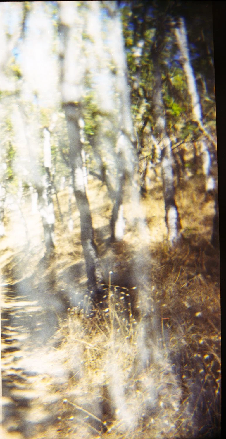 5786scan022.2026.jpg