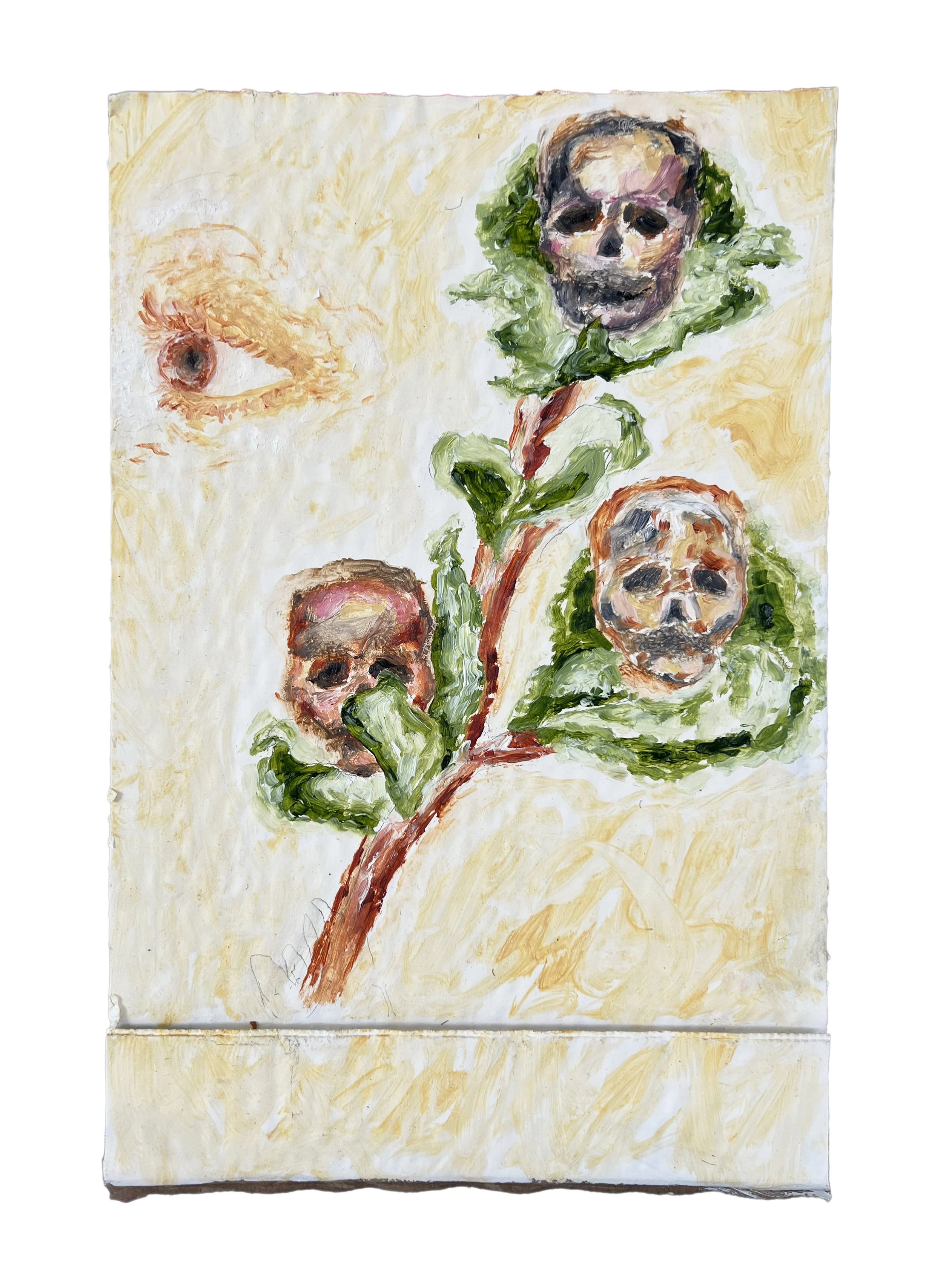 Untitled.Study.SkullBranch2024.Edit1 copy.jpg