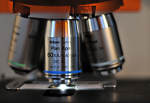 Light microscopy