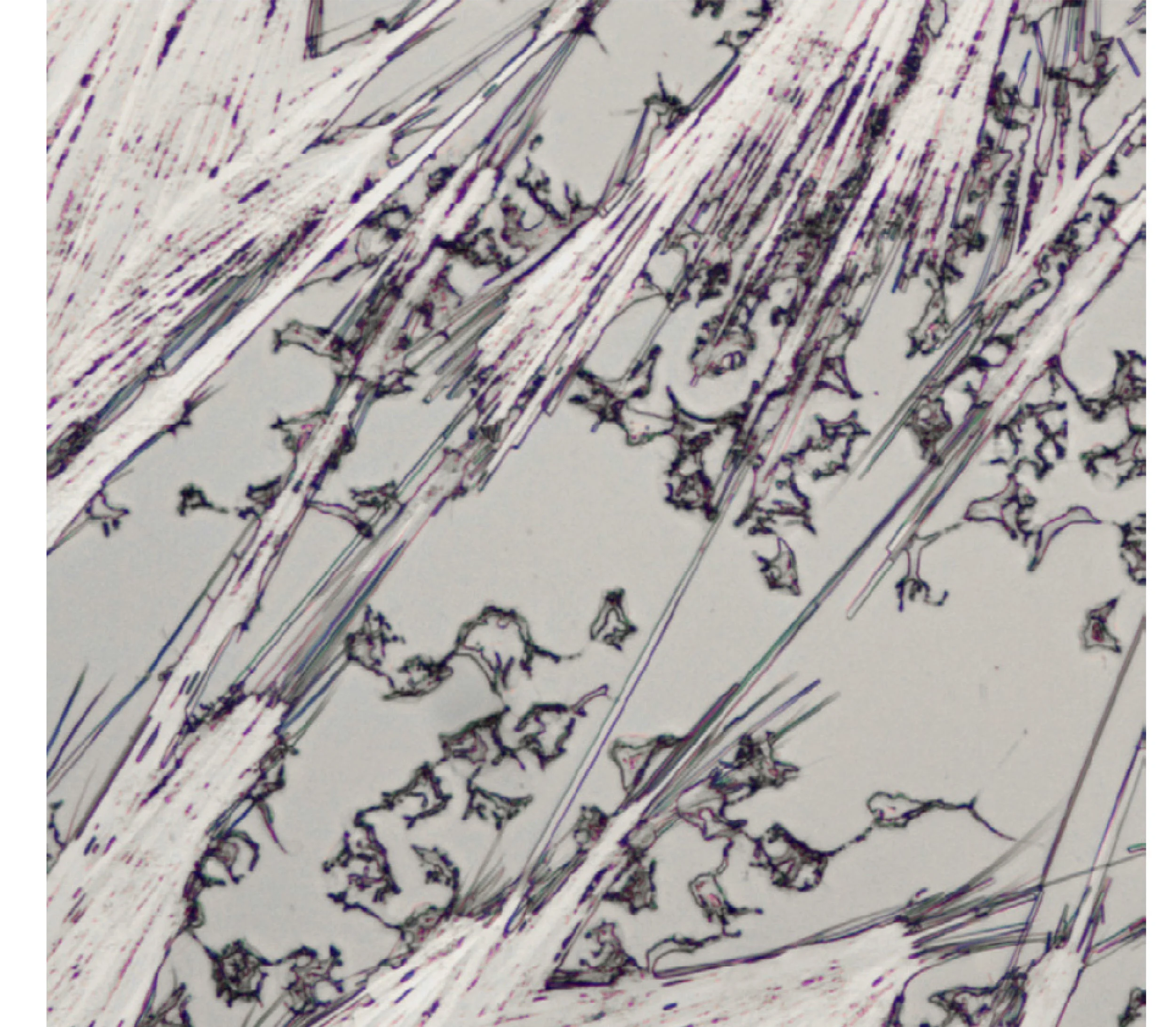 IKELOS-ScientificImaging_03j.jpg