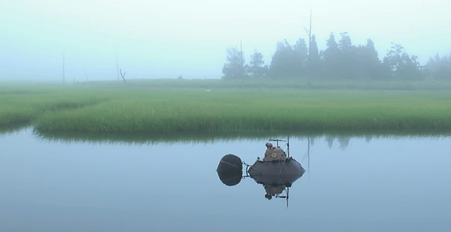 Turtle in Marsh.jpg