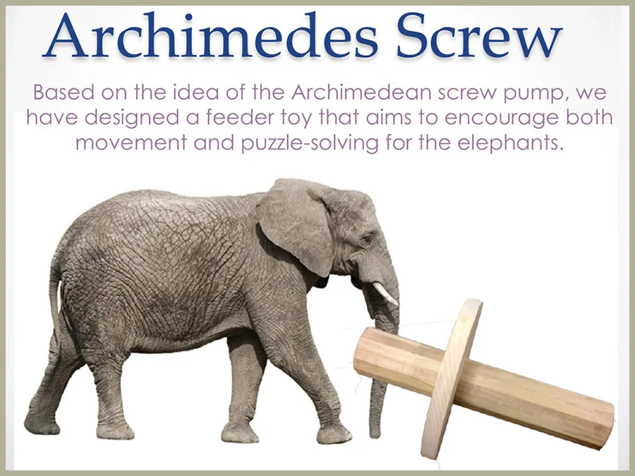 archimedes screw toy