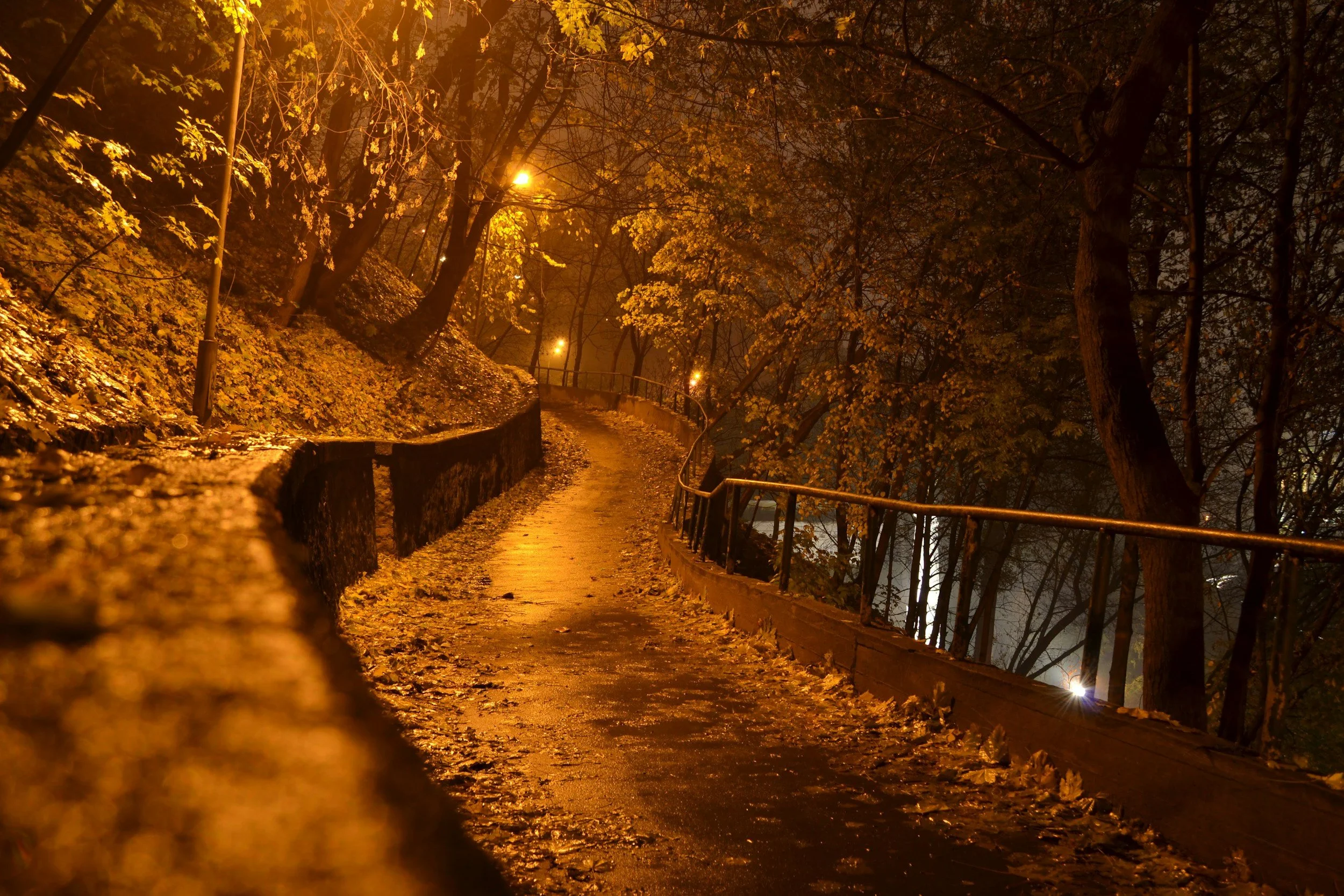 In Defense of Darkness: Why We Actually Need These Shorter Days