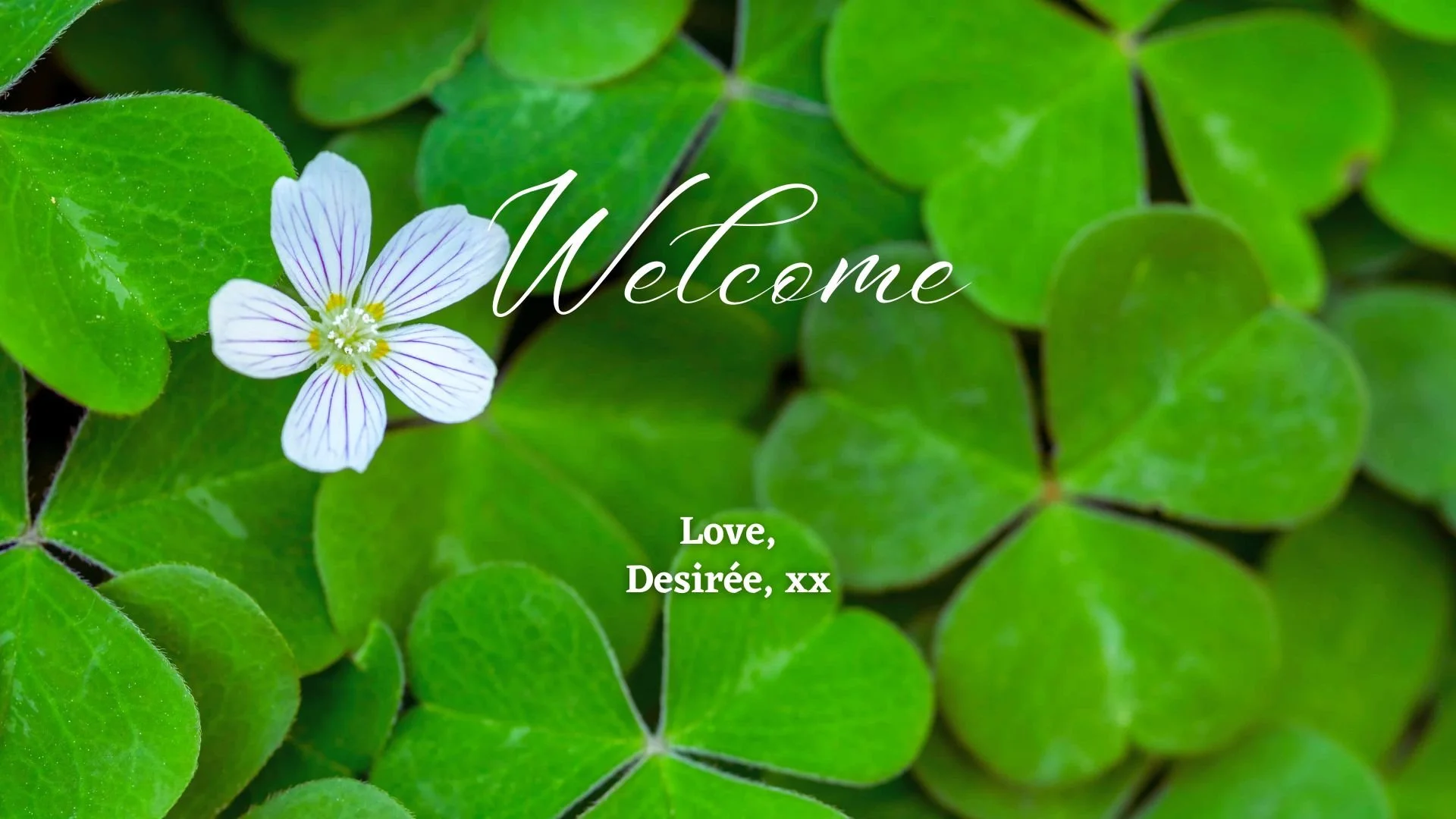 Site_Welcome (2).jpg