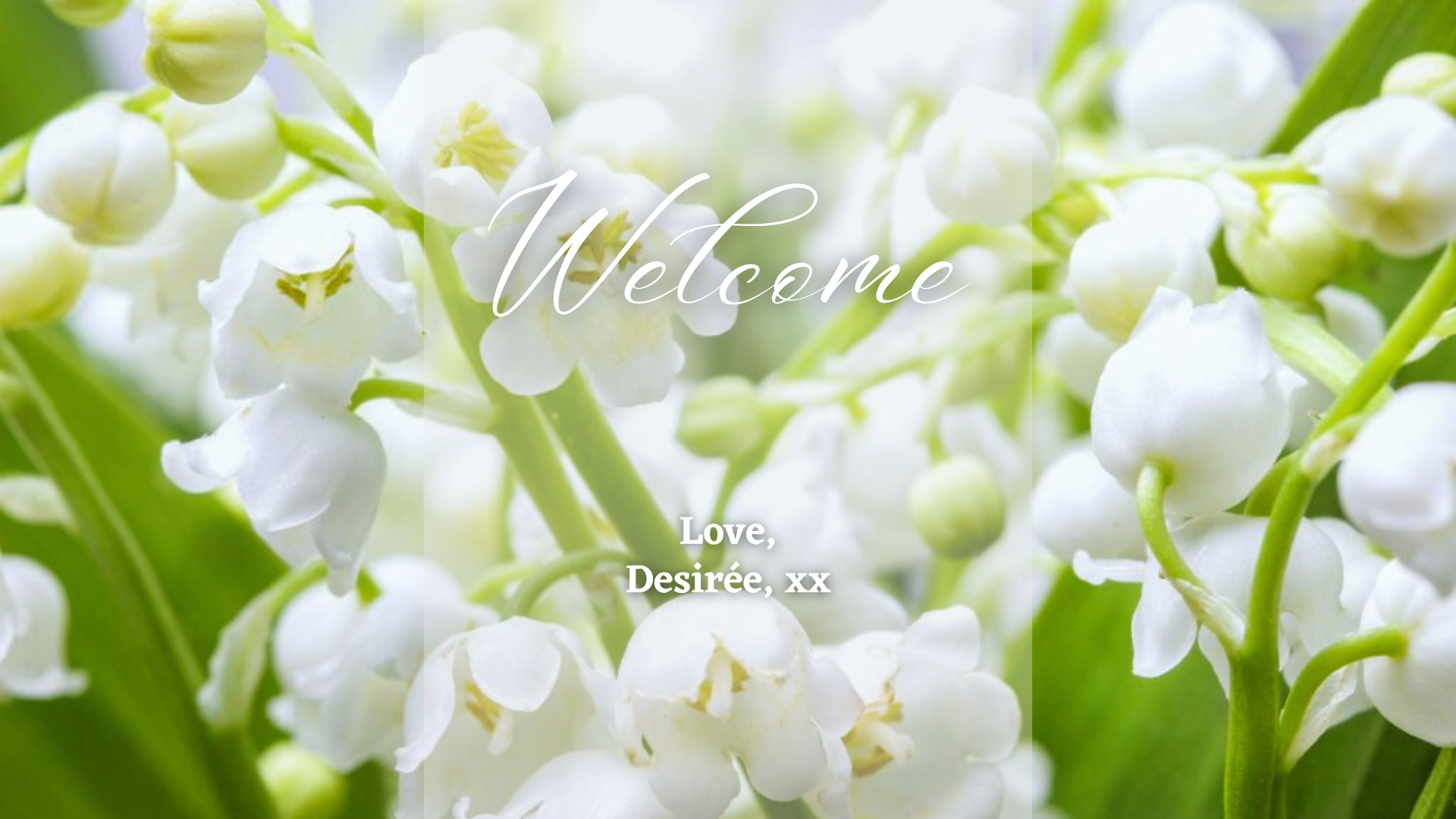 Site_Welcome (8).png