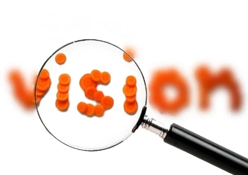 Vision.jpg