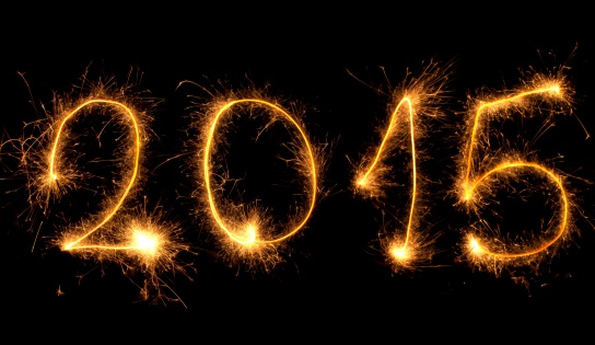 2015 >> 2015 The Year Of The Lord S Release The Year Of Freedom 2015 >> 2015 The Year Of The Lord S Release The Year Of Freedom