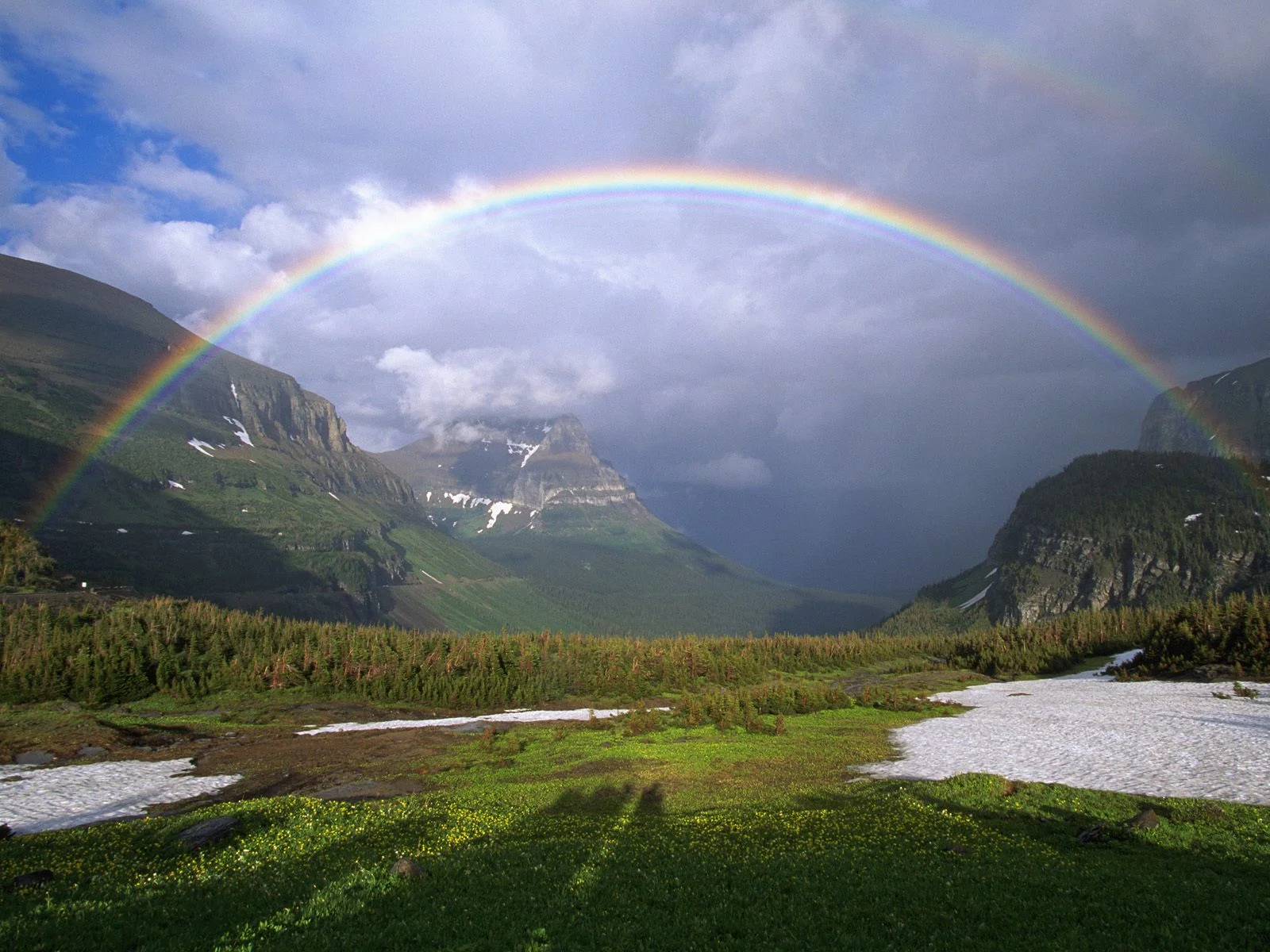 The Rainbow: The Promise and the Perversion