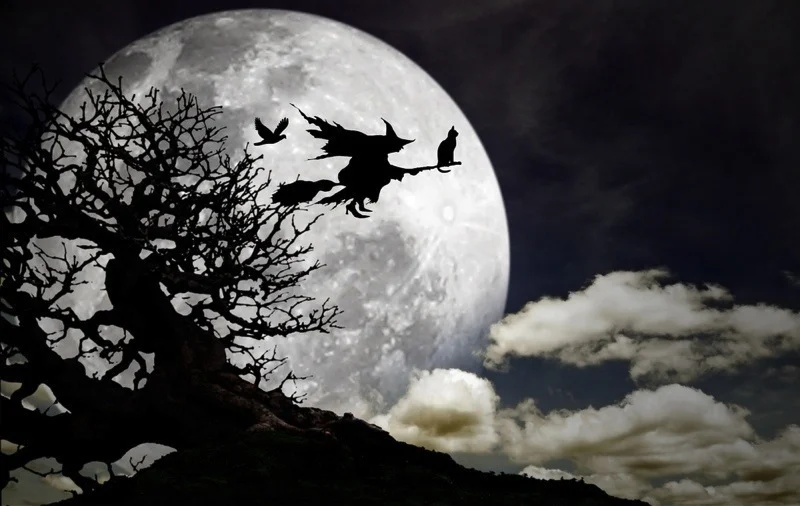 The History of Halloween: Witches & Broomsticks