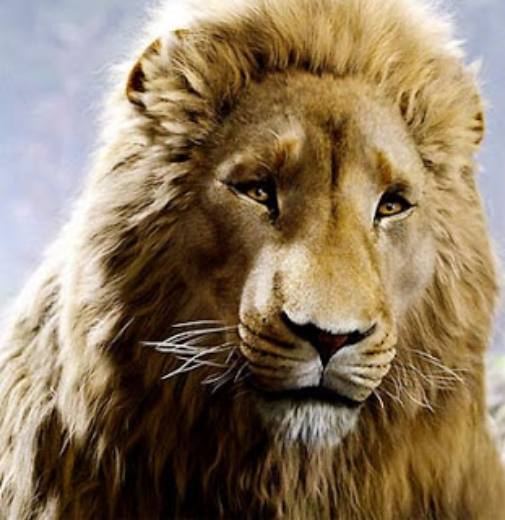 Aslan13.jpg