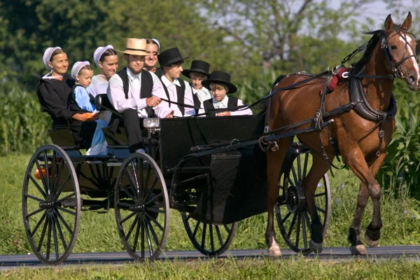 The Amish & What We Can Learn From Them [Watch]