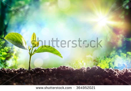 Shutterstock.jpg