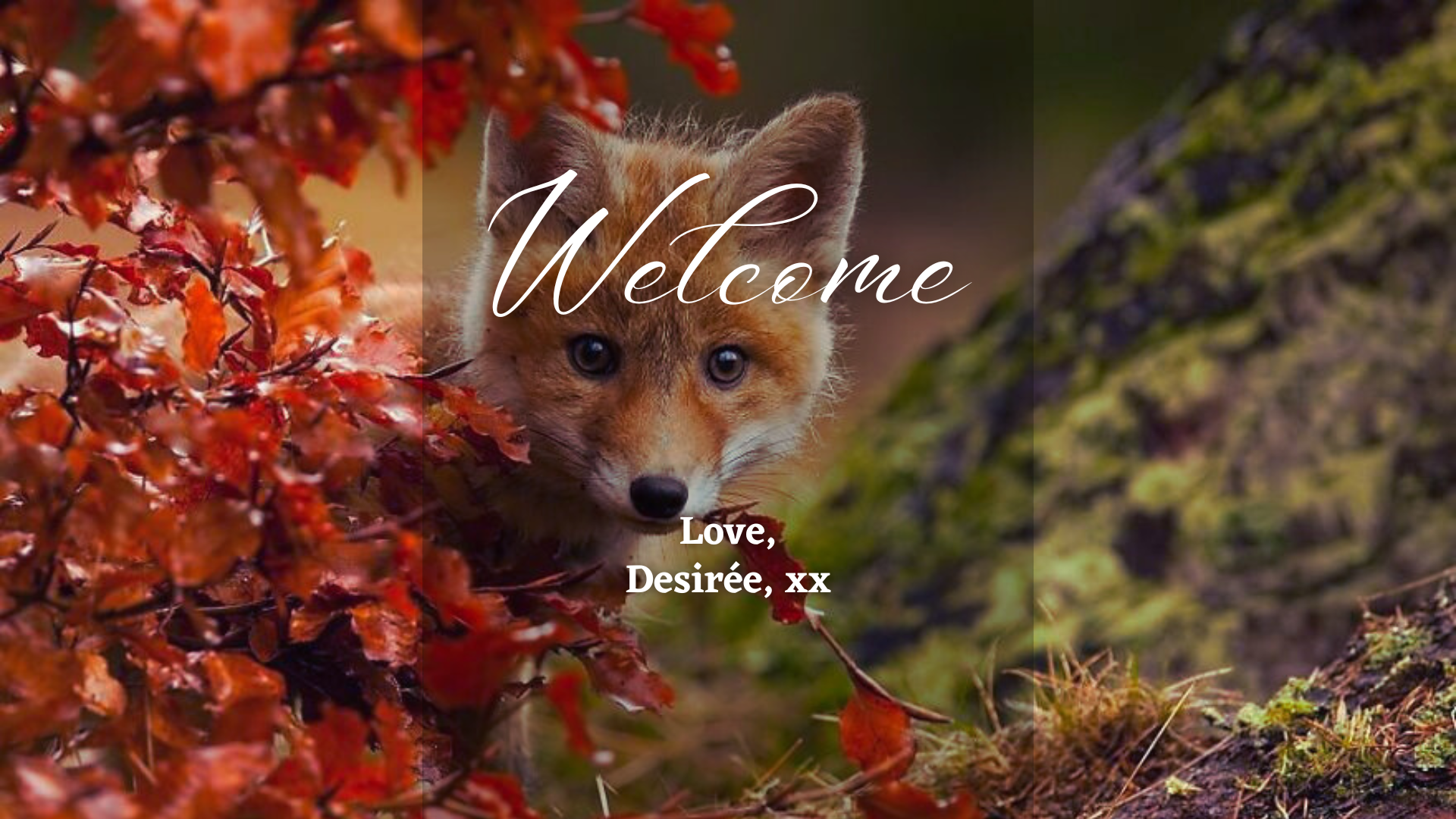 Site_Welcome (28).png