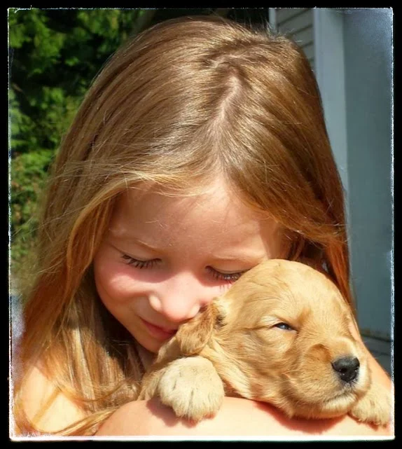 "Until one has loved an animal, a part of one's soul remains unawakened." -Anatole France