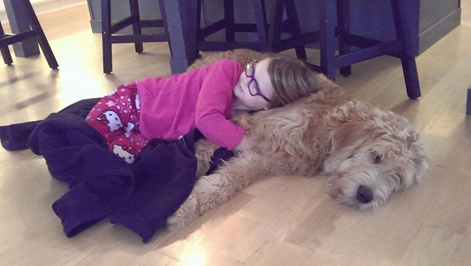 ROCKY Saturday morning cuddling and cartoons. Rocky is such an amazingly tolerant dog to be loved on all the time by her. Thanks again Star View Kennels for such a wonderful temperament dog, he is the best dog ever. (Most of the time. ) — with Meaghan Rust-Matter .