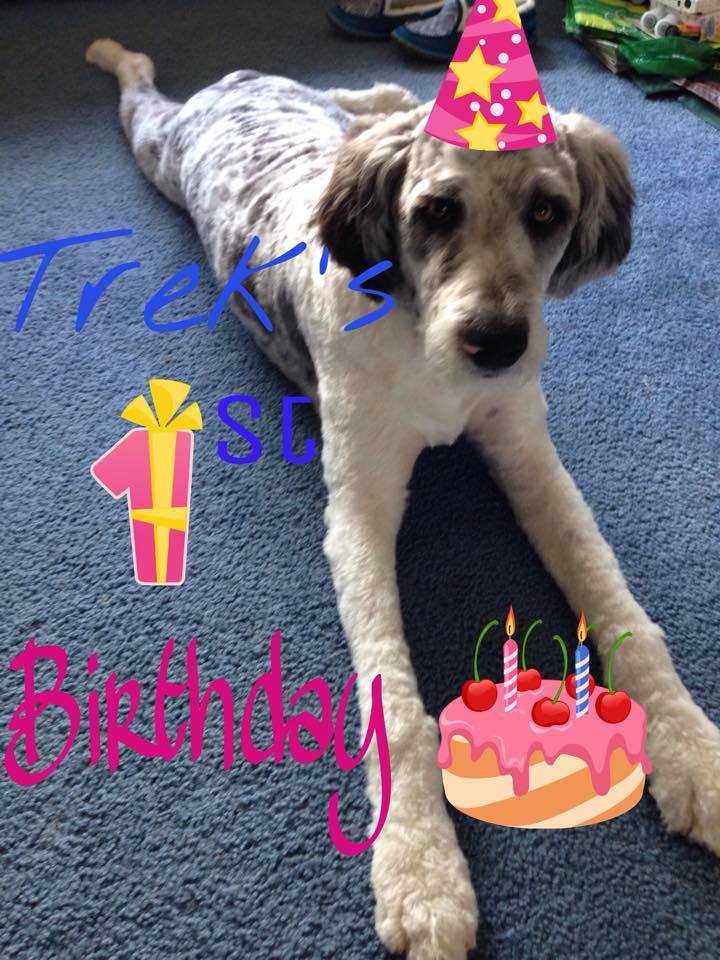 Look who's 1 year old! Thanks Dani Lou for such a wonderful addition to our family — with Cheryl Nicodemus-Alden