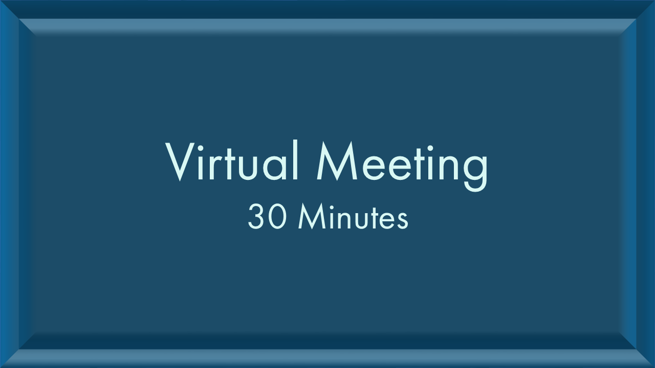 Virt Meeting 30min.PNG