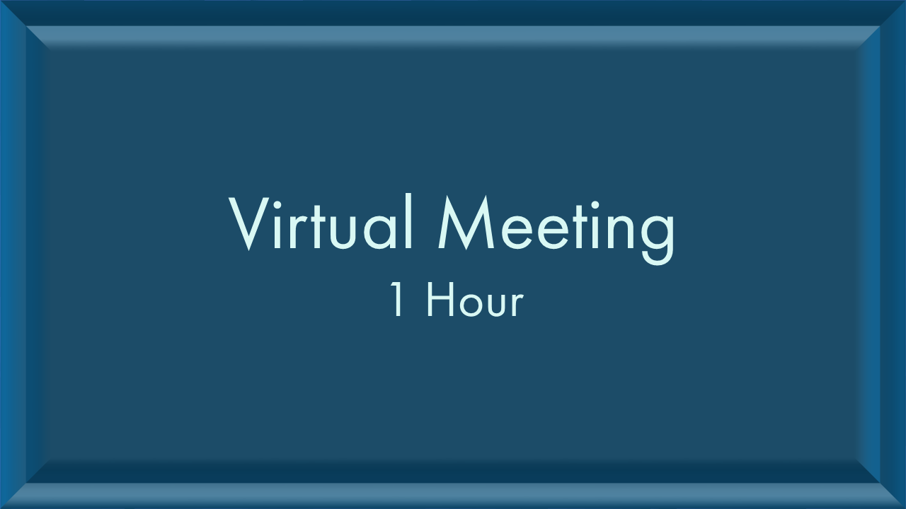 Virt Meeting 1hr.PNG