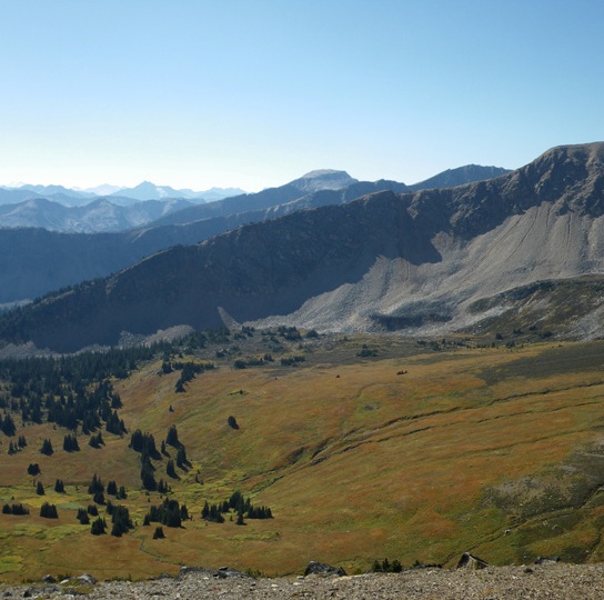 Drier than than towards the coast, a narrow band of good grizzly habitat rings the head of the Stein watershed.