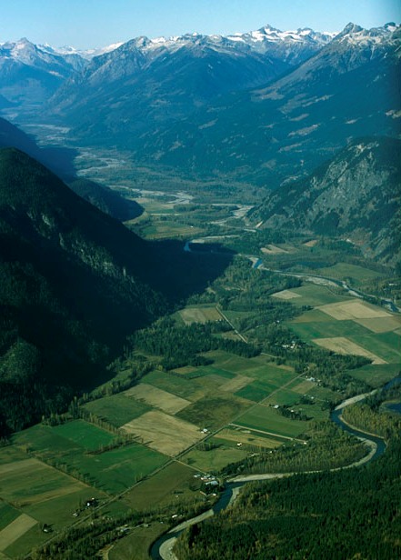 The Pemberton Valley is an important linkage for grizzly bears (moving between the Ryan River and the alpine of the upper Birkenhead).
