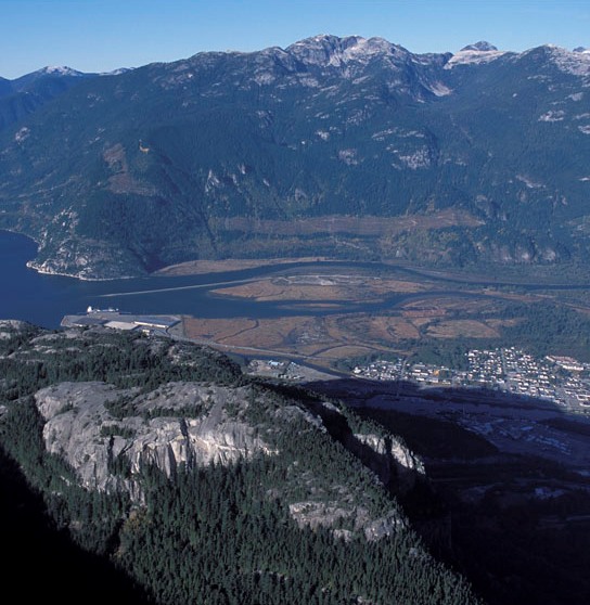 The Squamish River estuary. Squamish-Lillooet population is the most coastal of southwest BC's populations.
