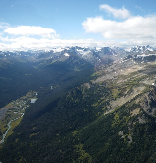 High and low, spring, summer and fall, the South Chilcotin provides habitat for grizzlies.