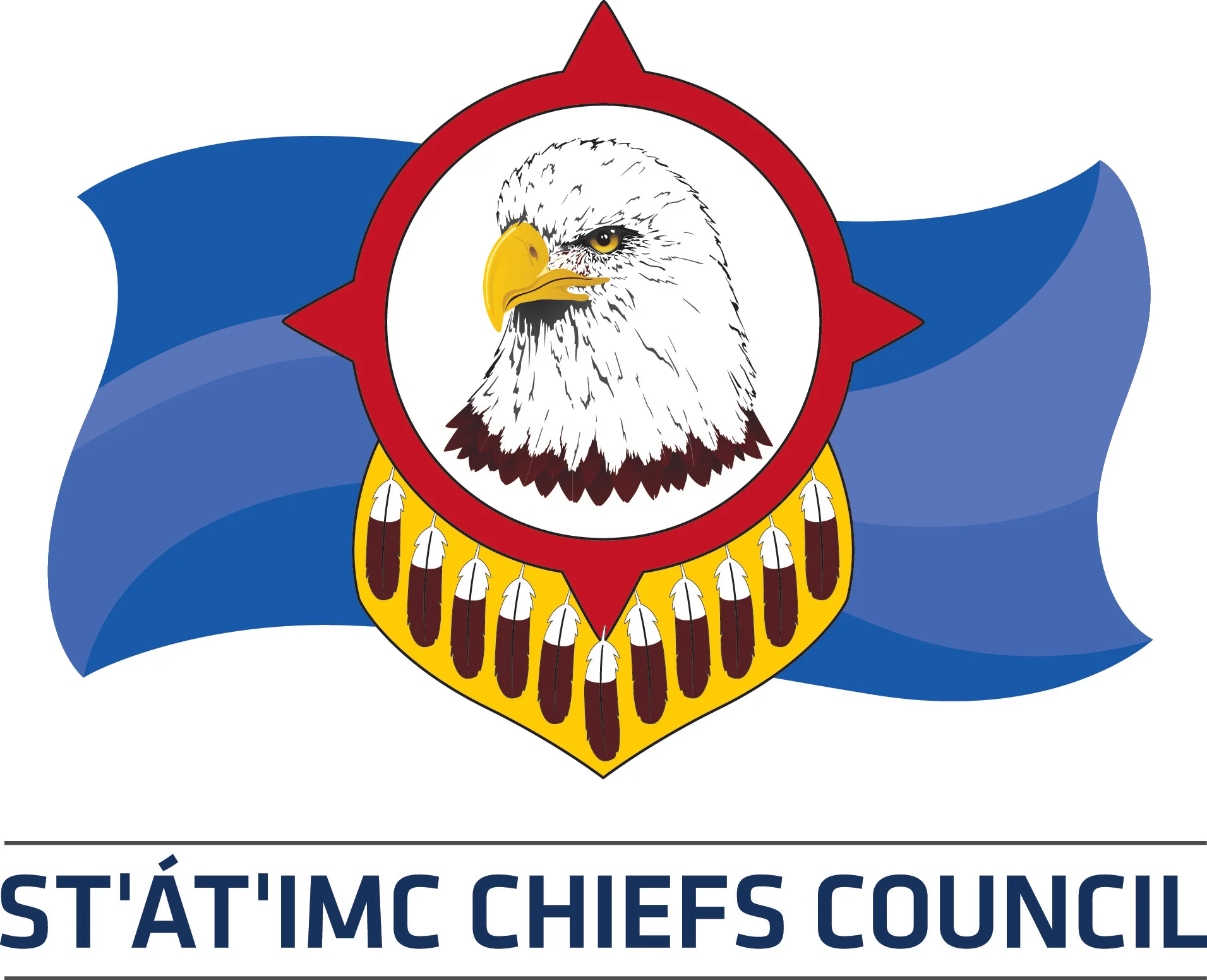Statimc-chiefs-council-logo.jpg