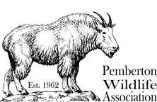 Pemberton Wildlife Association