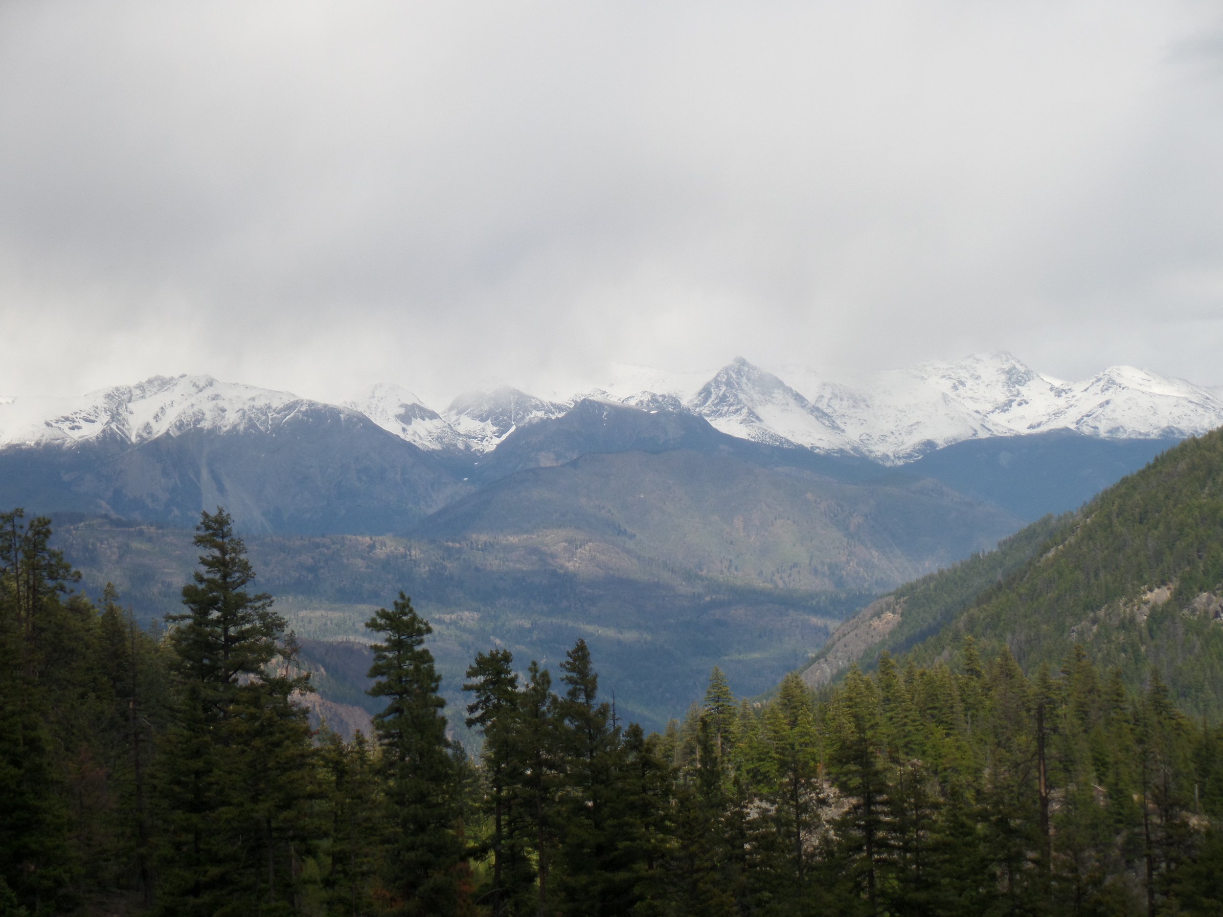  Surrounded by mountains, the Bridge River Valley is home to the highest density of grizzly bears in southwest BC. 