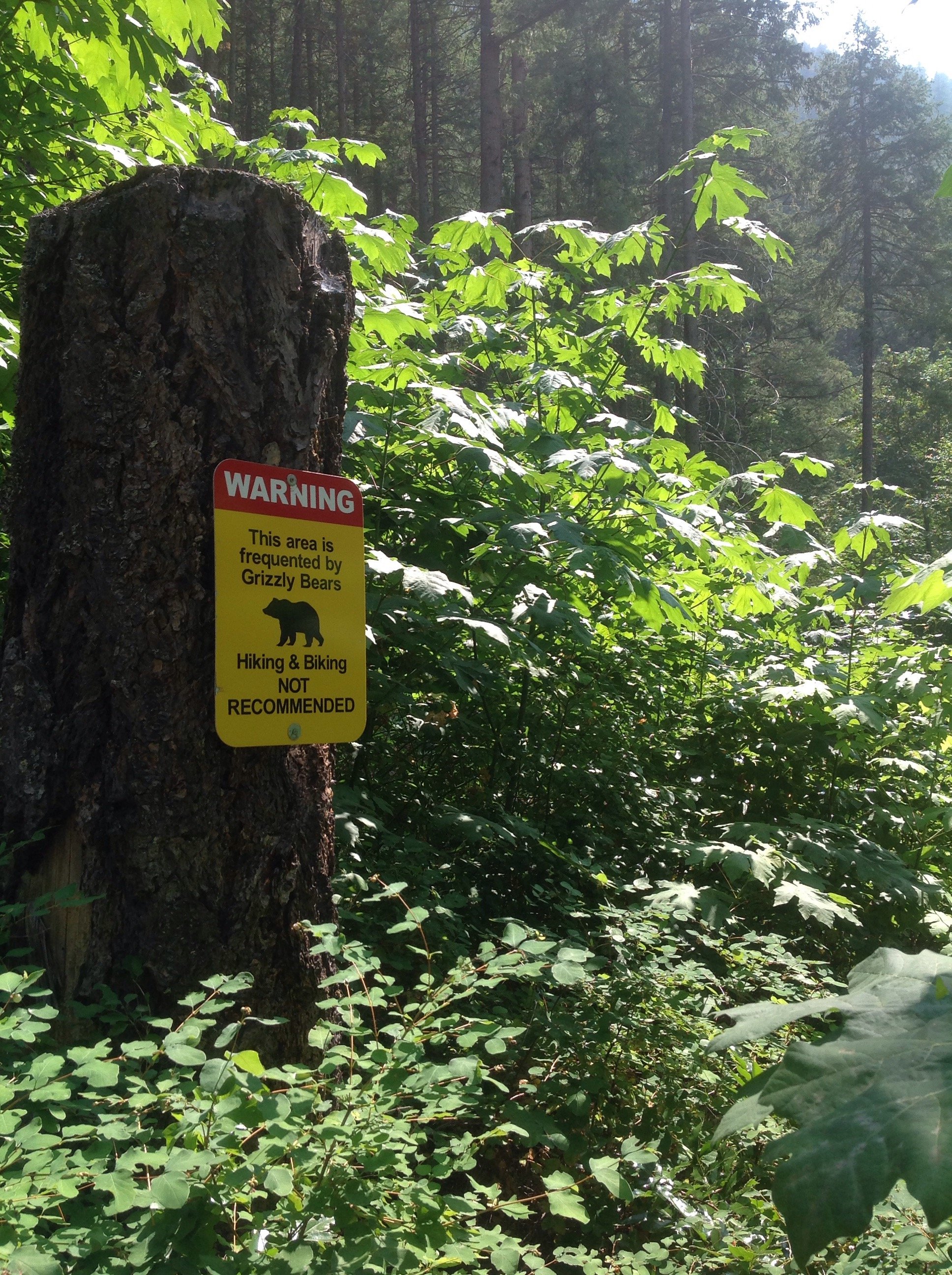  Grizzly Bear Warning sign placed near residents homes with simple and effective language.  