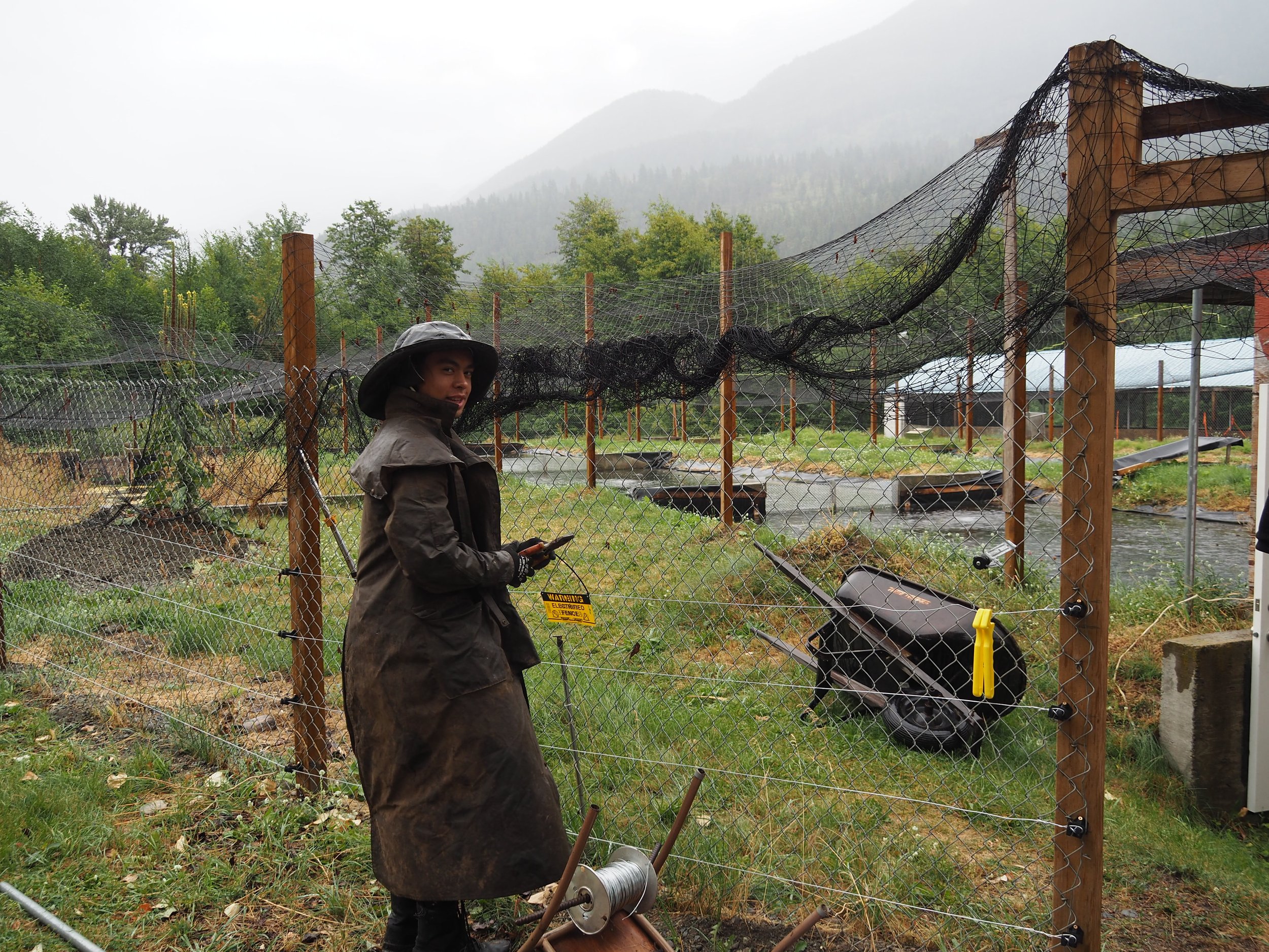  N’Quatqua BHA contractor installing electric fencing at the trout hatchery. 