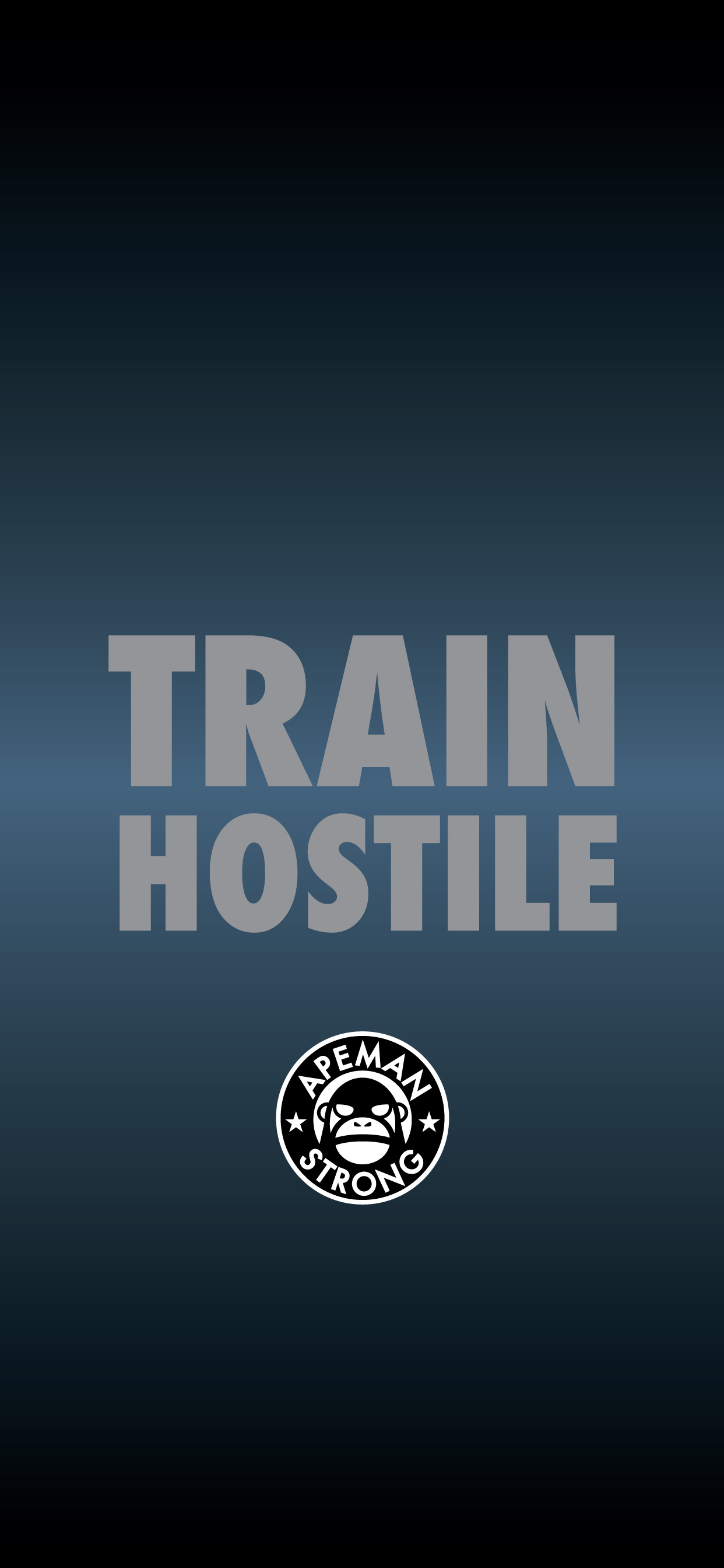 TRAIN-HOSTILE.jpg