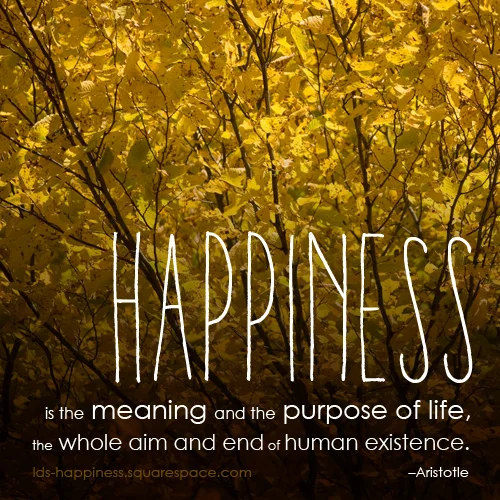 2 Years and 3000 Likes