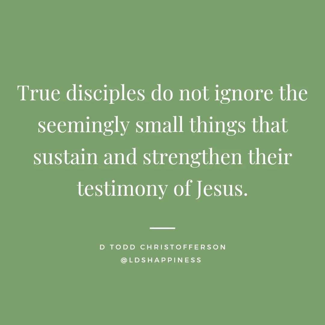 Prayer, scripture study, service, temple &amp; church worship... They really matter! Your testimony is nourished by these seemingly small things 💕 #comeuntochrist #planofhappiness #smallandsimplethings #generalconference #happinessinchrist #happines