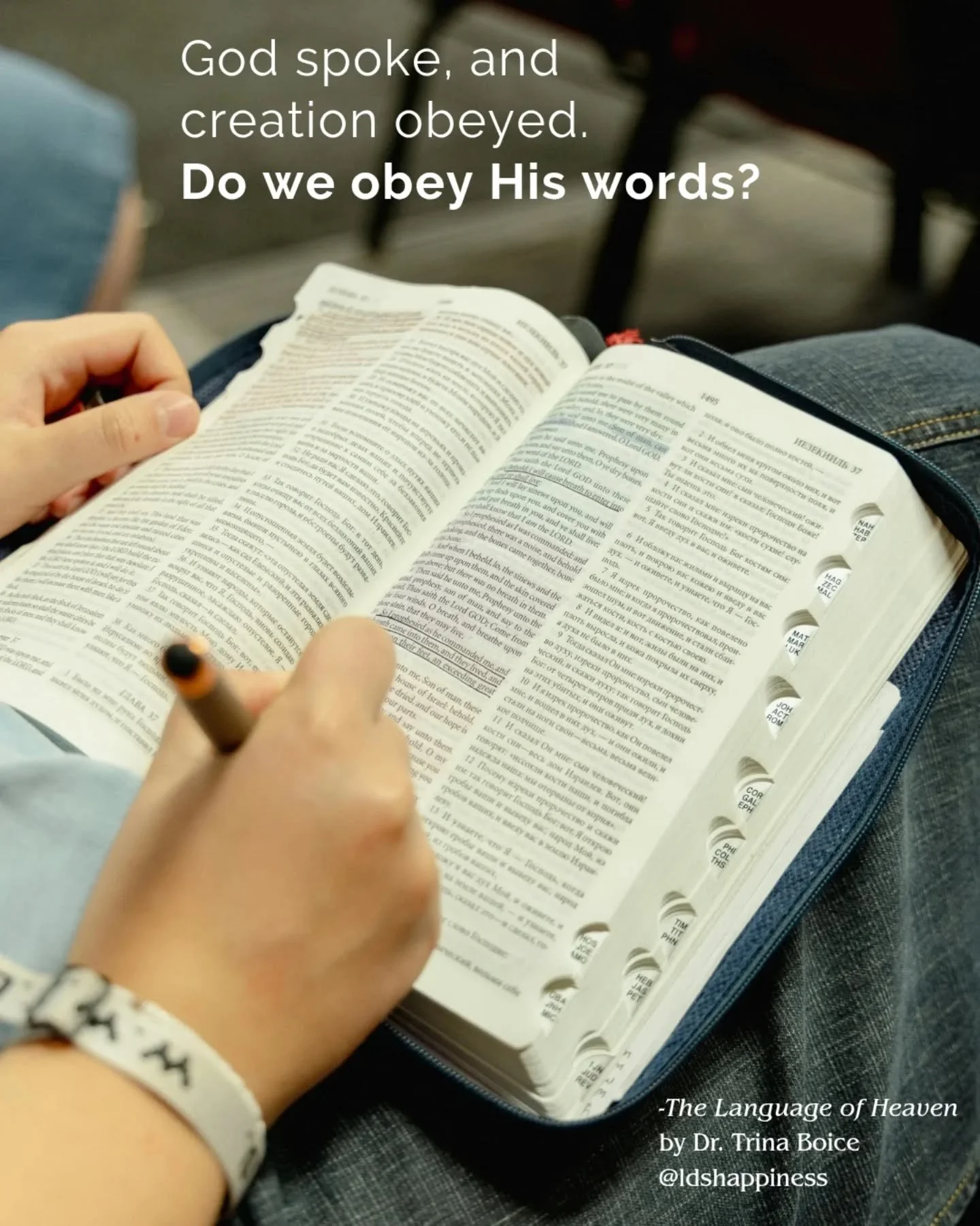 Inspiration from The Language of Heaven, new book from @trinaboice 💕 Available now at bookstores and at https://amzn.to/4nNEQmM

Don't miss out on this incredible study guide!! 

#thelanguageofheaven #newbook #trinaboice #biblestudy  #ldshappiness #