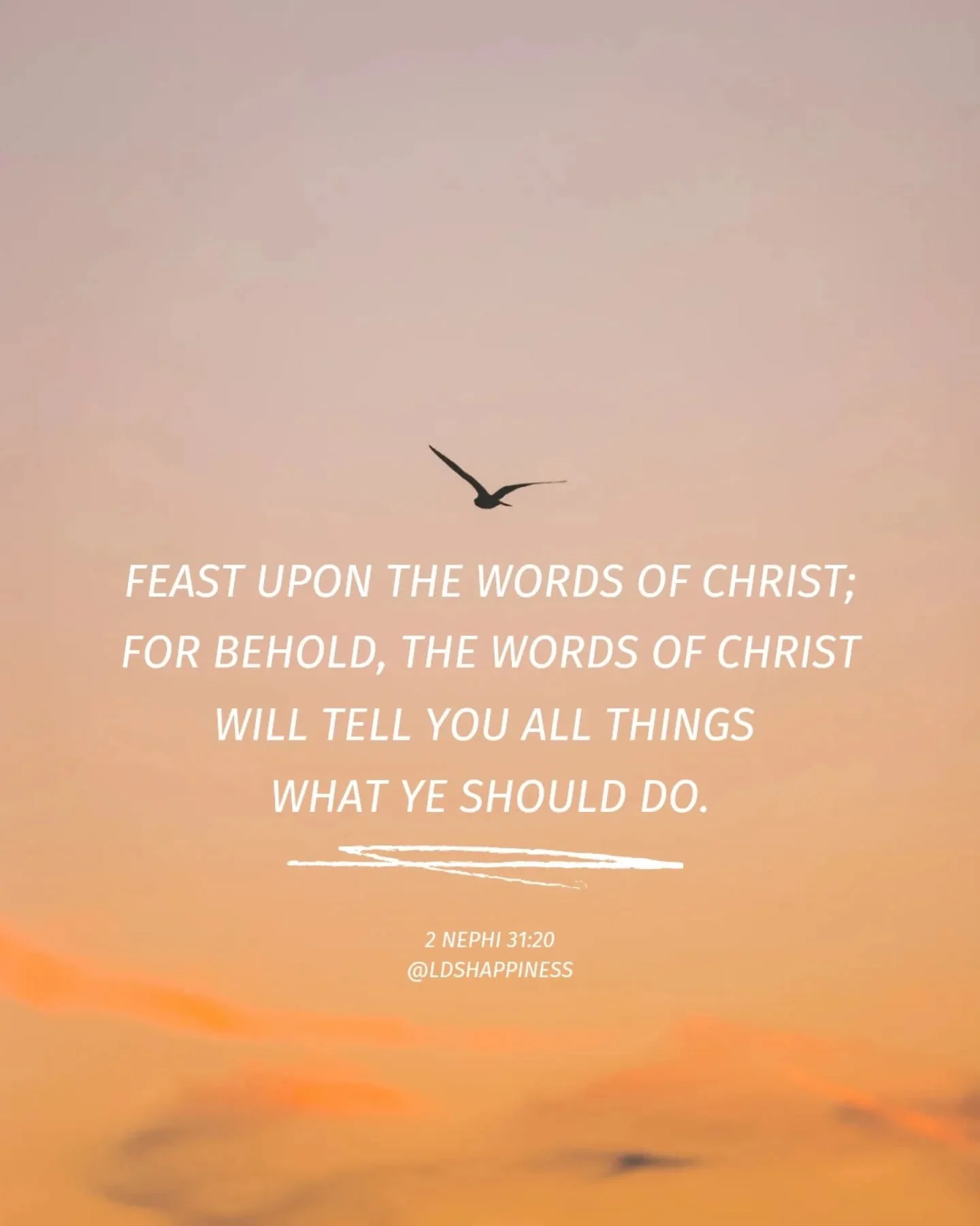Turn to the scriptures and the teachings of Jesus Christ to find peace, direction, and light 🌟 

#scripturestudy #godsword #ldshappiness #jesuslovesyou #churchofjesuschristoflatterdaysaints