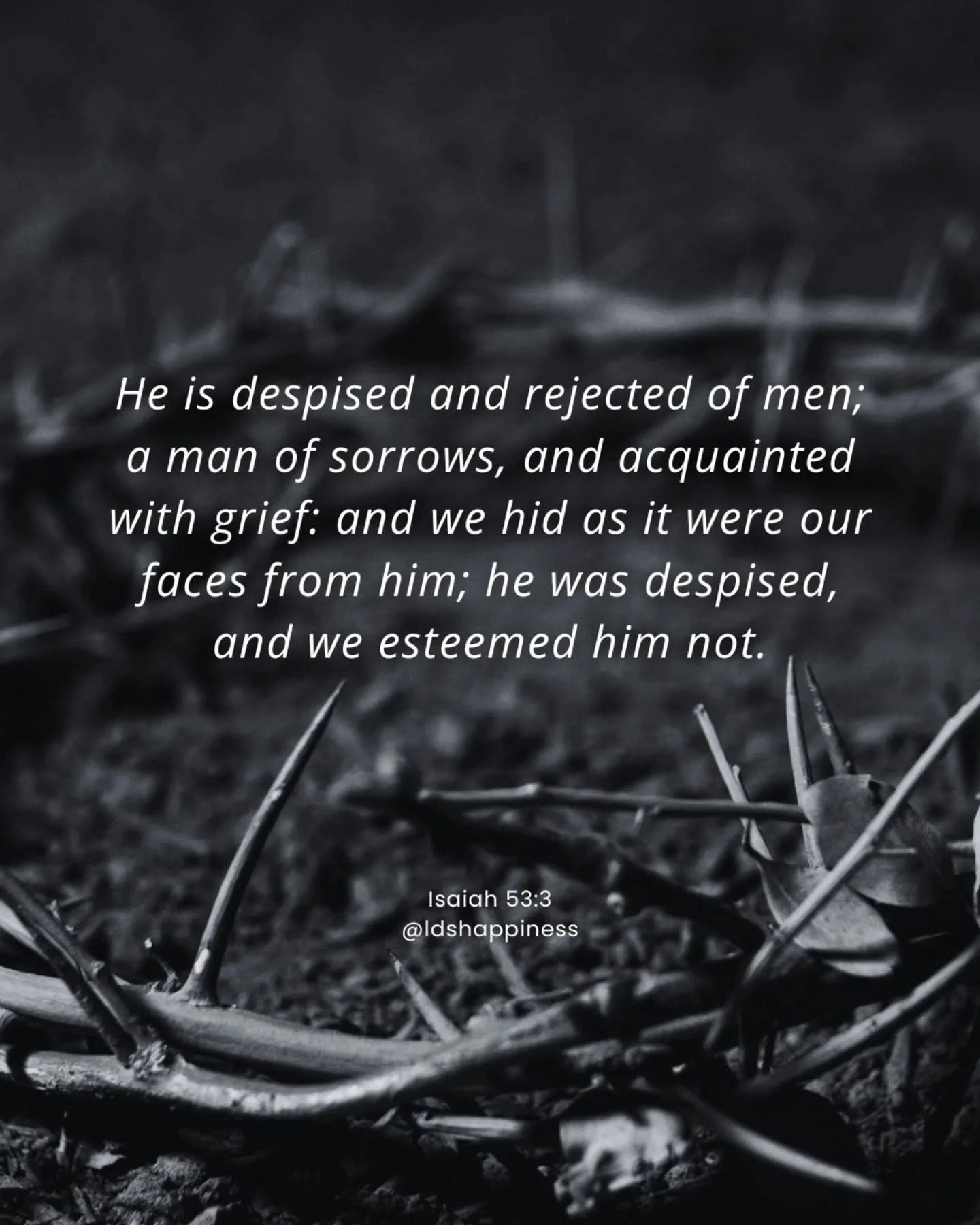 Listening to Rob Gardner's Lamb of God is my favorite form of Easter worship 💕 At one point the narrator reads this scripture from Isaiah.  Jesus suffered for us. He bore our griefs and carried our sorrows. He was wounded for our transgressions, bru